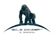 Logo Sols Concept Européen